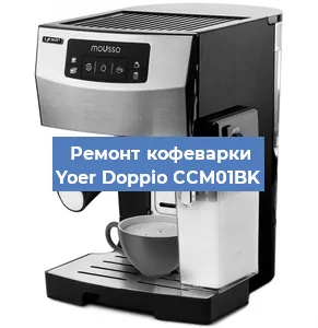 Замена прокладок на кофемашине Yoer Doppio CCM01BK в Перми